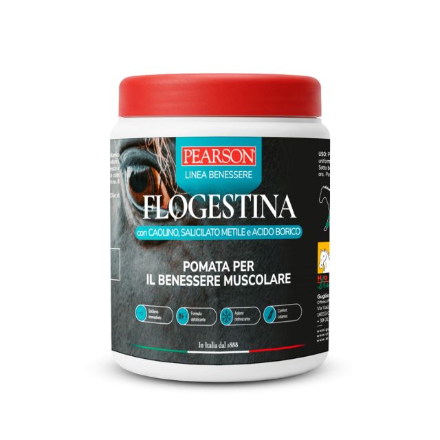Flogestina pearson pomata muscolare gr. 1500