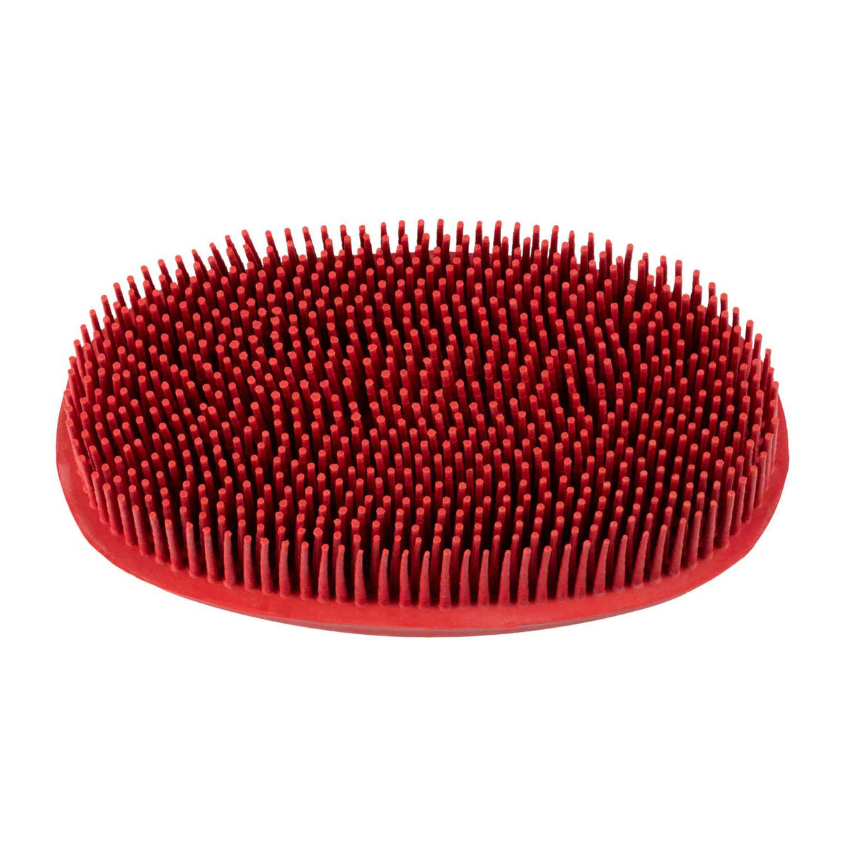 STRIGLIA MORBIDA PER MUSO