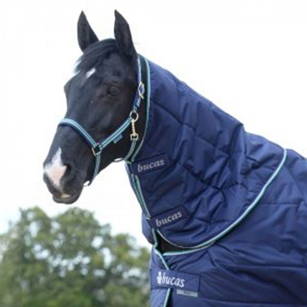 COPRI COLLO X BUCAS QUILTS 300 SD STAY DRY LINING