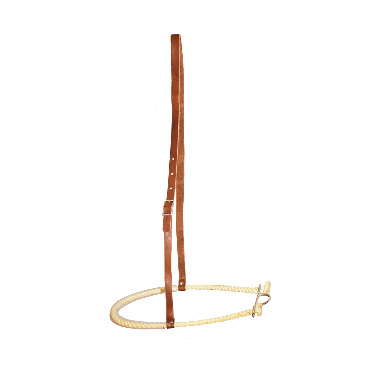 NOSEBAND RAWHIDE POOL'S