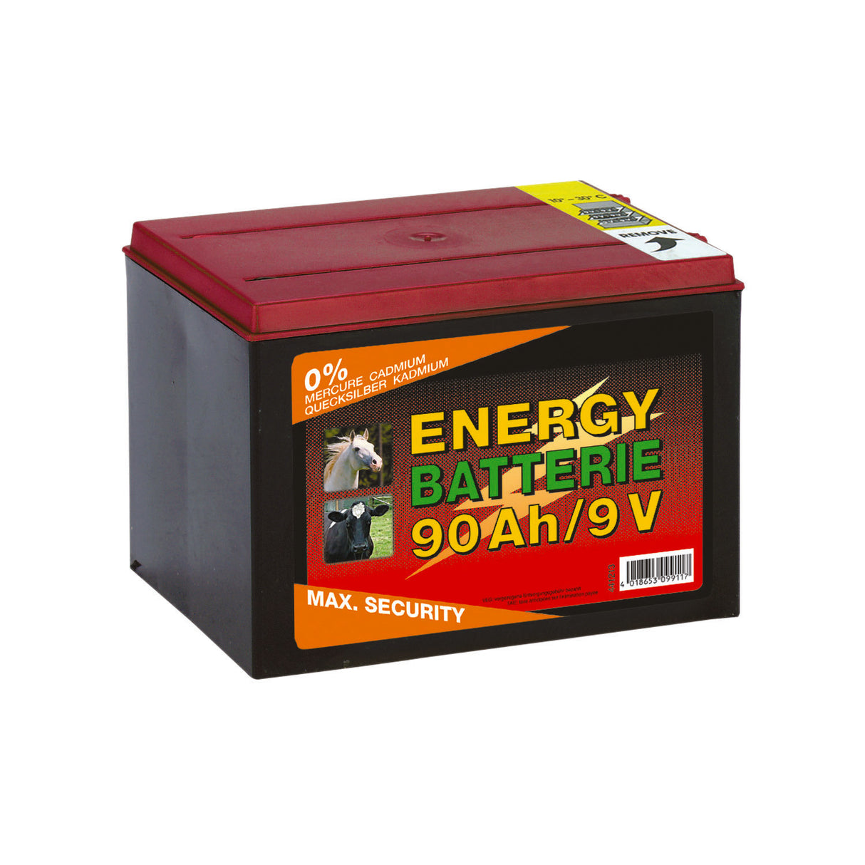 BATTERIA 10000H