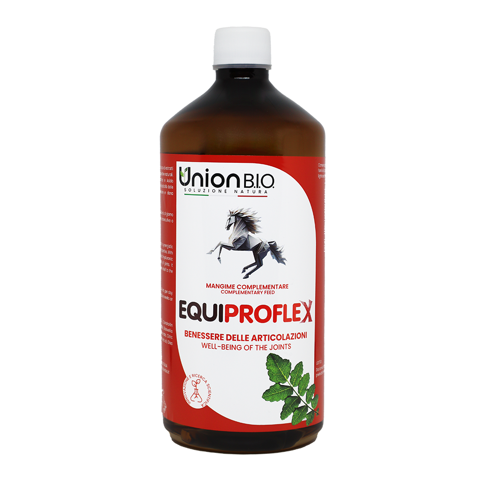 EQUIPROFLEX Articolazioni