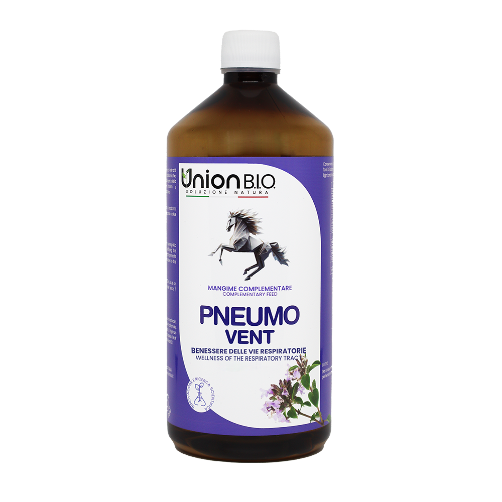 PNEUMO VENT Respiro balsamico