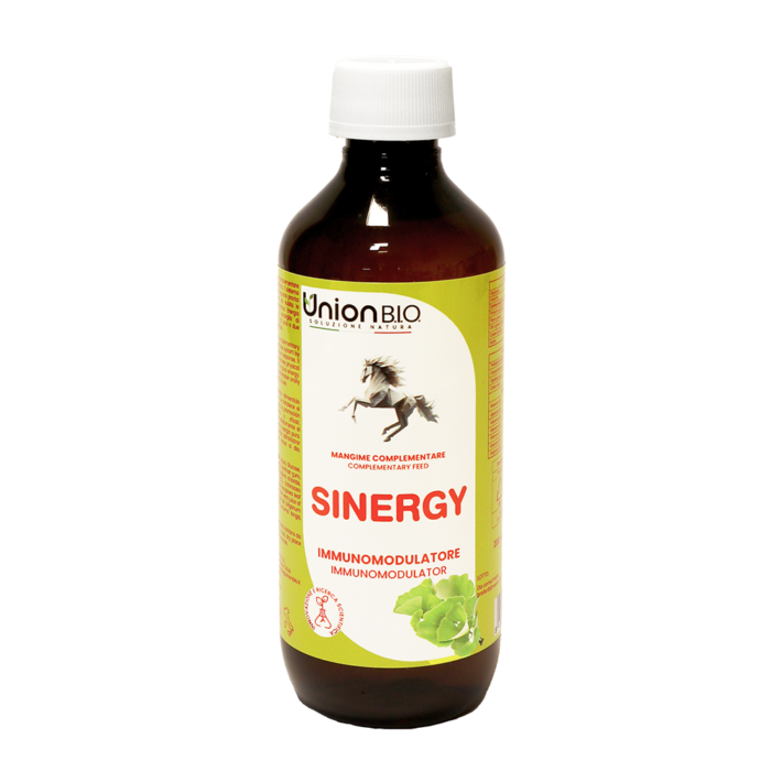SINERGY Energia e benessere