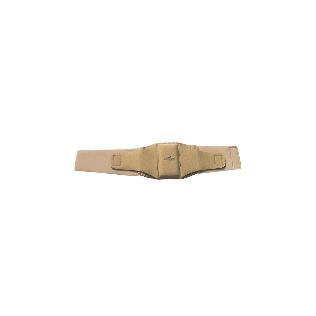 FASCIA SCHIENA CAVALIERE PROFESSIONAL'S CHOICHE