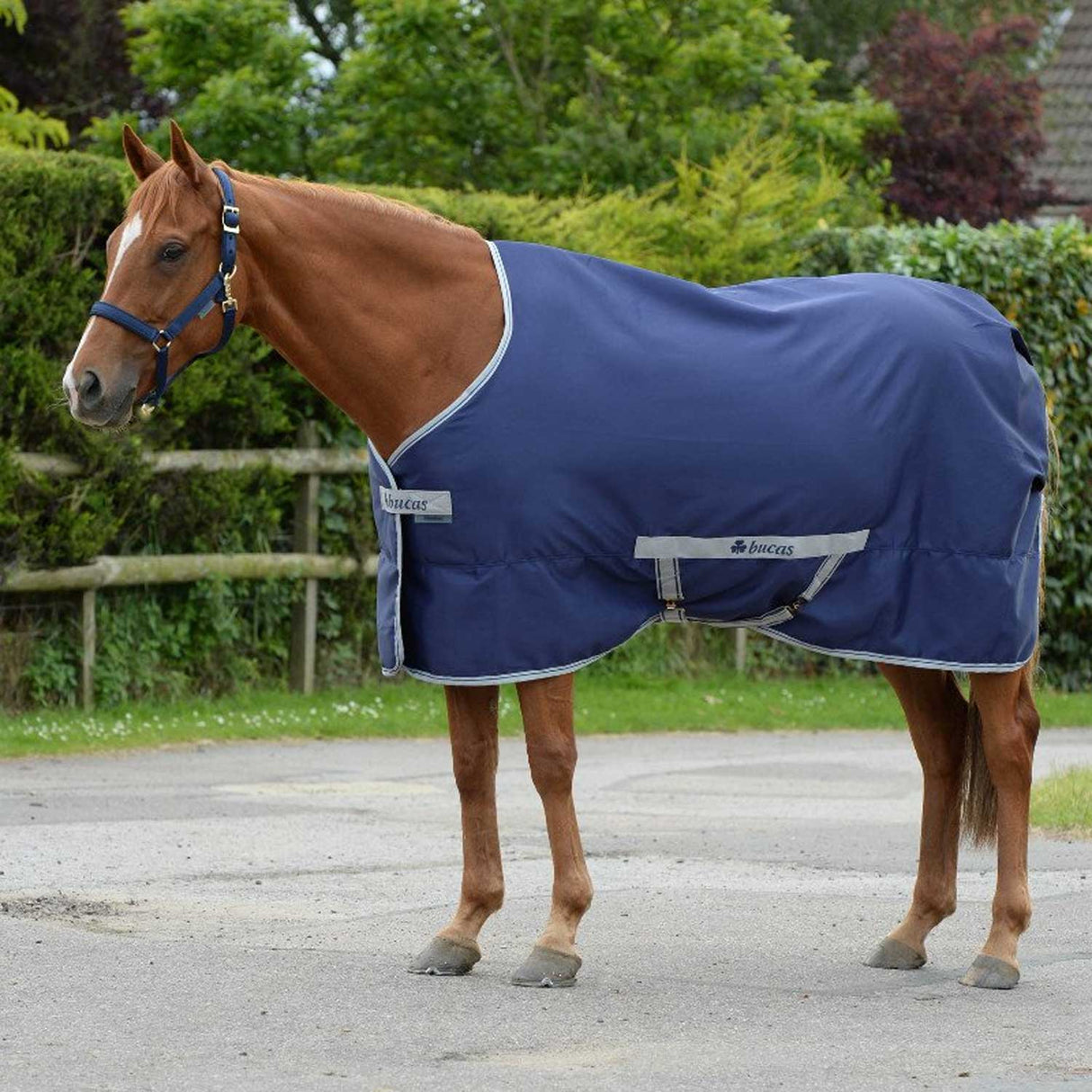 COPERTA CANVAS BUCAS Freedom Twill Sheet