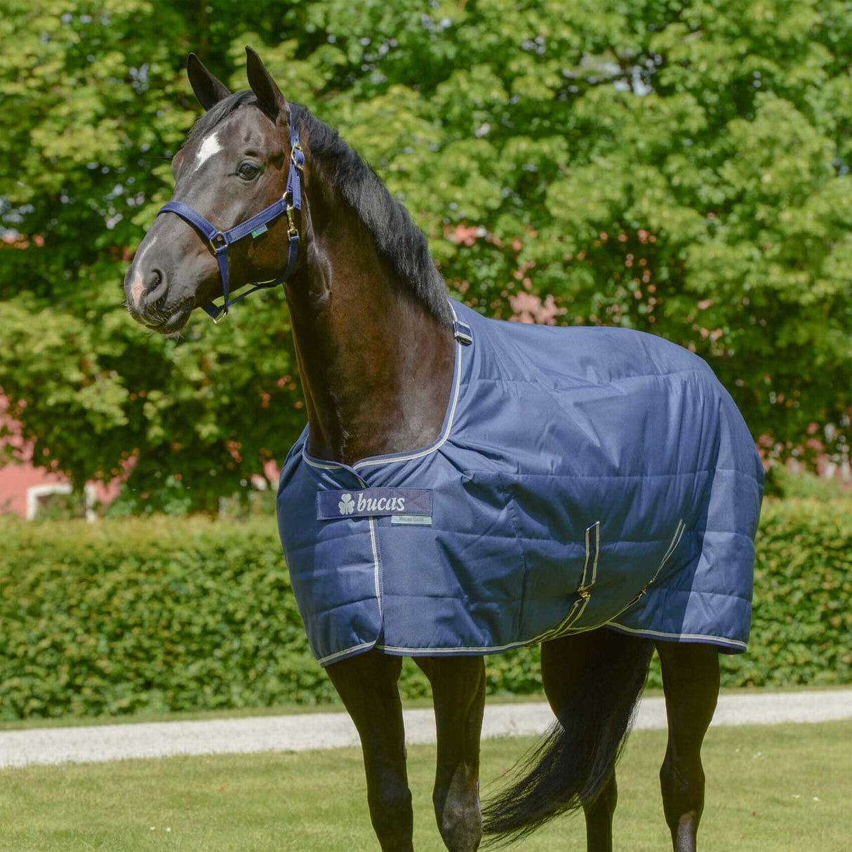 COPERTA  BUCAS QUILTS 300  SD STAY DRY LINING