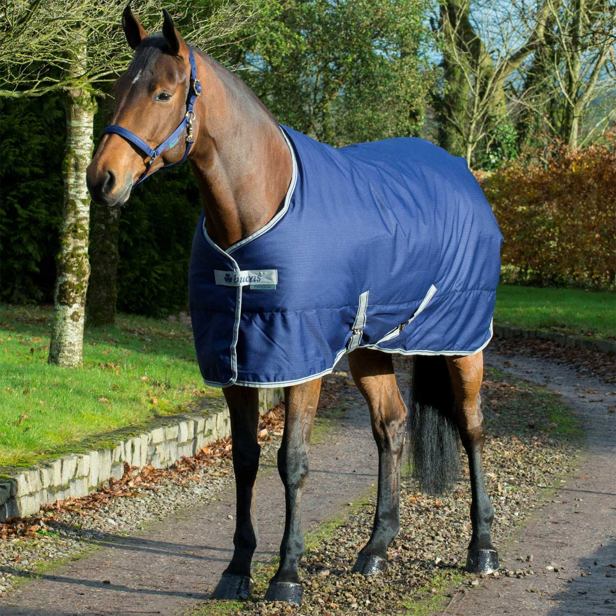 COPERTA FREEDOM STABLE 300