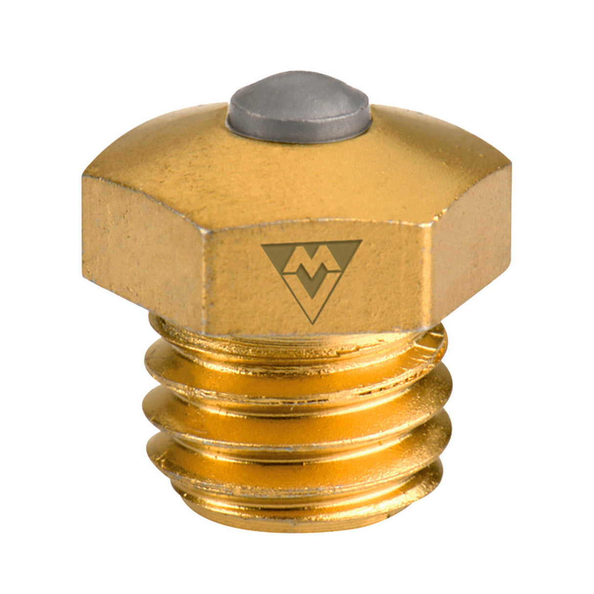 SCATOLA 10 RAMPONI MX24HS