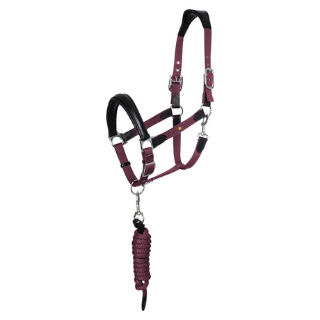 BLACK/BURGUNDY