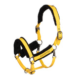 1235C-YELLOW