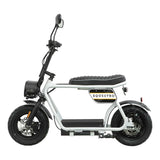 Scooter elettrico E-one 1000W