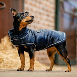 Horseware Signature Dog Rug 200g | Impermeabile Blu per Cani