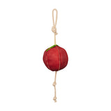 Horse toy apple