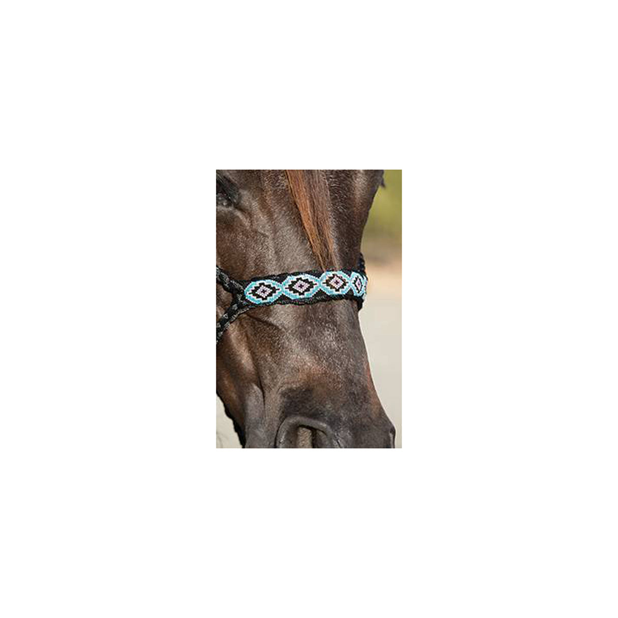 COWBOY BRAIDED HALTER