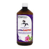 PHILOGASTRO Benessere/omeostasi gastrica