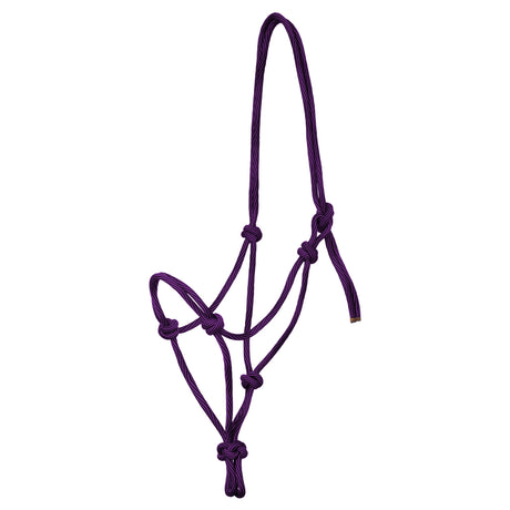 PURPLE/BLACK