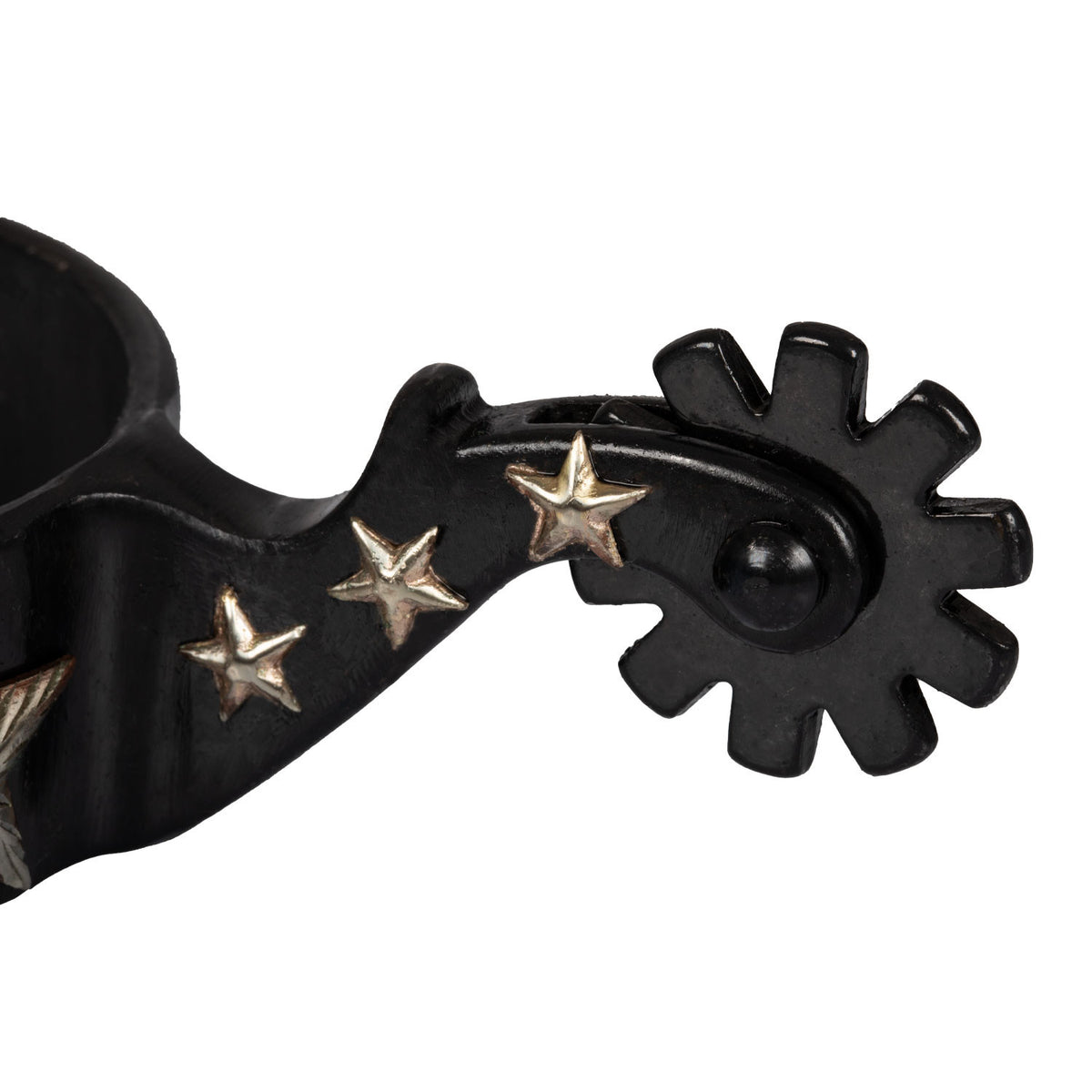 Speroni western bruniti Pool's 6 Stelle